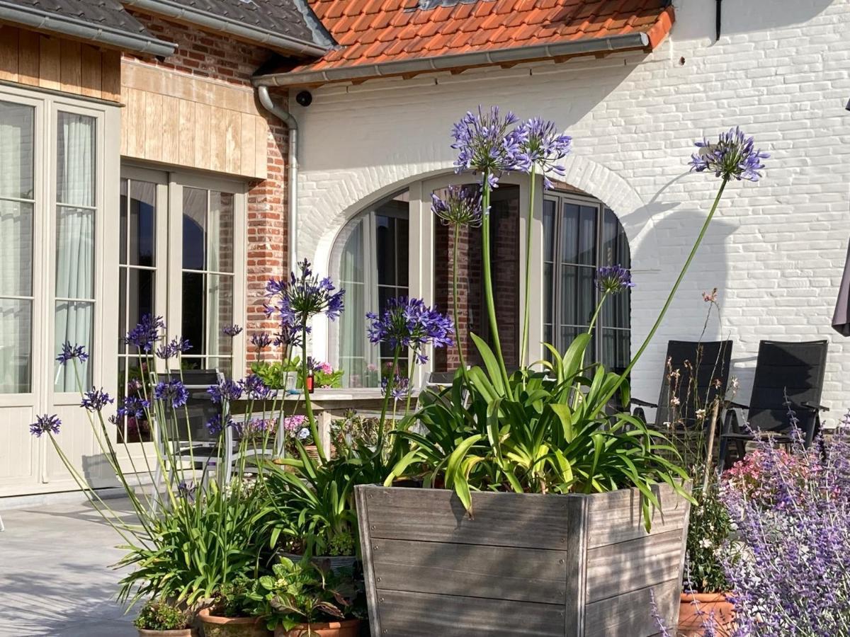 B&B Waterput 1 Stalhille Exteriör bild